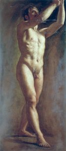 Livsstudie af den mandlige figur